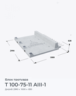 Т 100-75-11 АIII-1