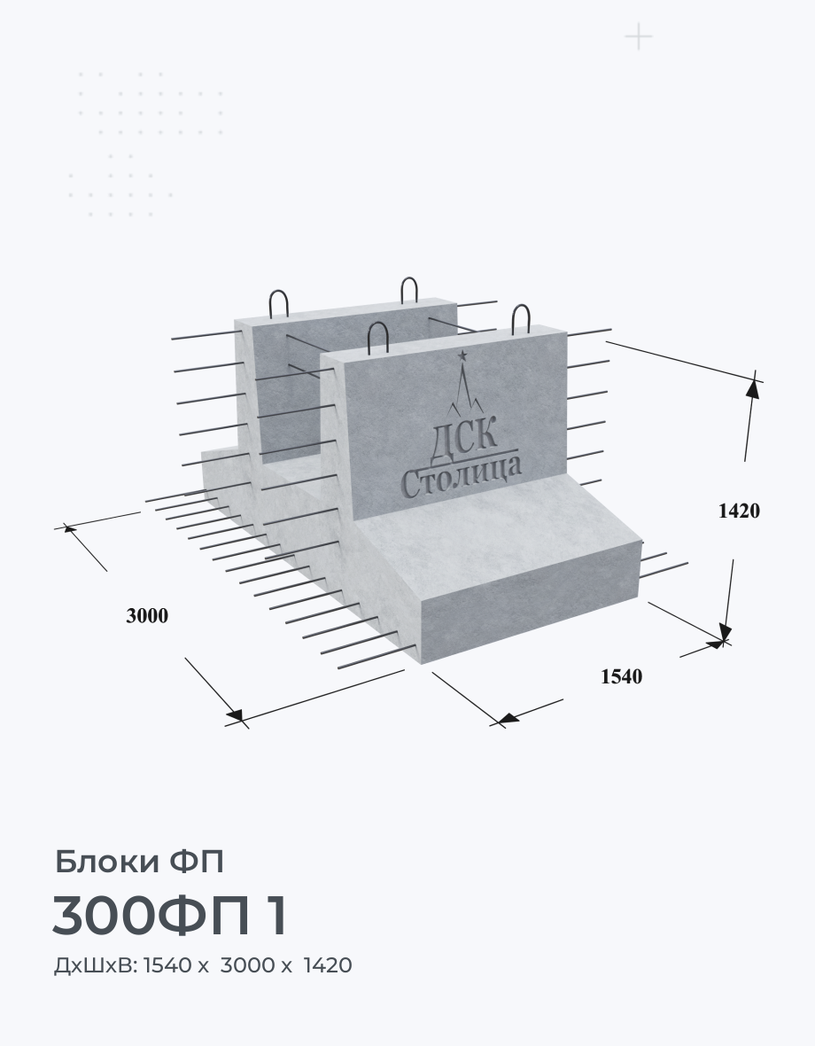 300ФП 1