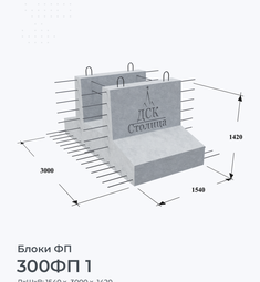 300ФП 1