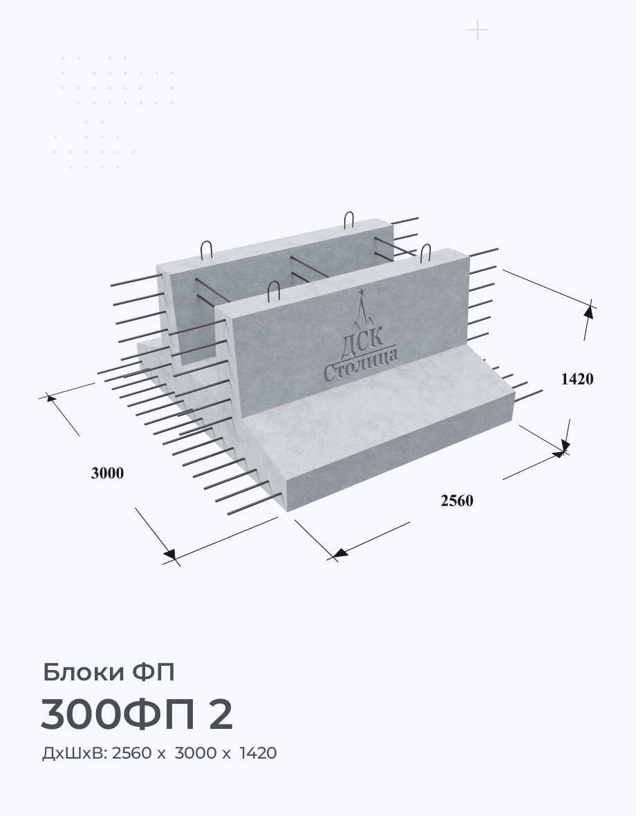 300ФП 2