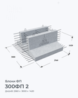 300ФП 2