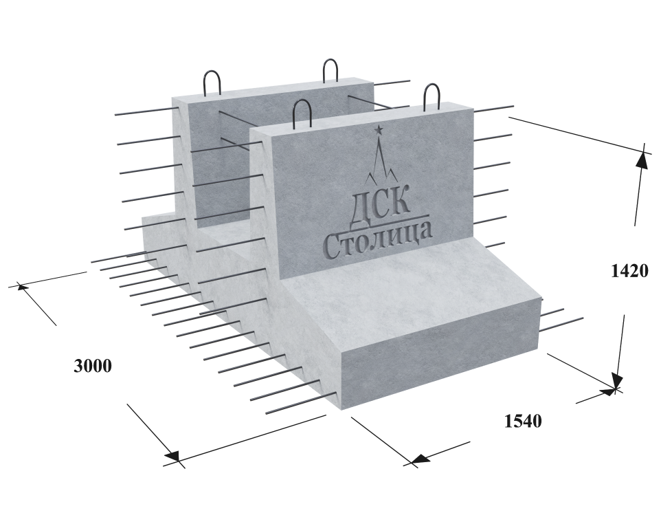 300ФП 1