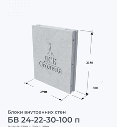 БВ 24-22-30-100 п