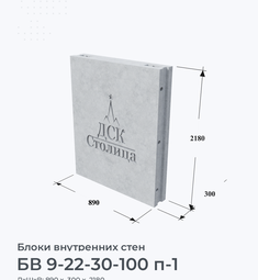 БВ 9-22-30-100 п-1