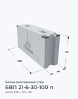 БВП 21-6-30-100 п