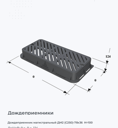 Дождеприемник магистральный ДМ2 (С250)-78х36  H=100