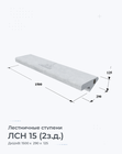 ЛСН 15 (2з.д.)