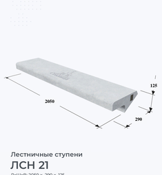 ЛСН 21