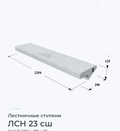 ЛСН 23 сш