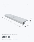 ЛСВ 17