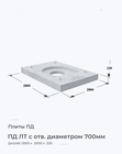 ПД ЛТ с отв. диаметром 700мм