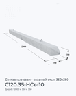С120.35-НСв-10