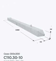 С110.30-10