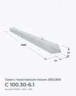 С 100.30-6.1