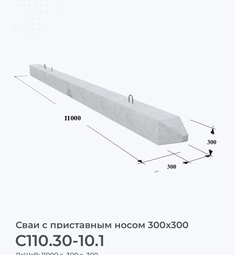 С110.30-10.1