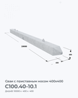 С100.40-10.1