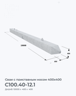 С100.40-12.1